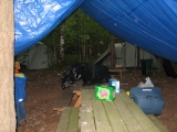 Cub Camp 31May2008 024